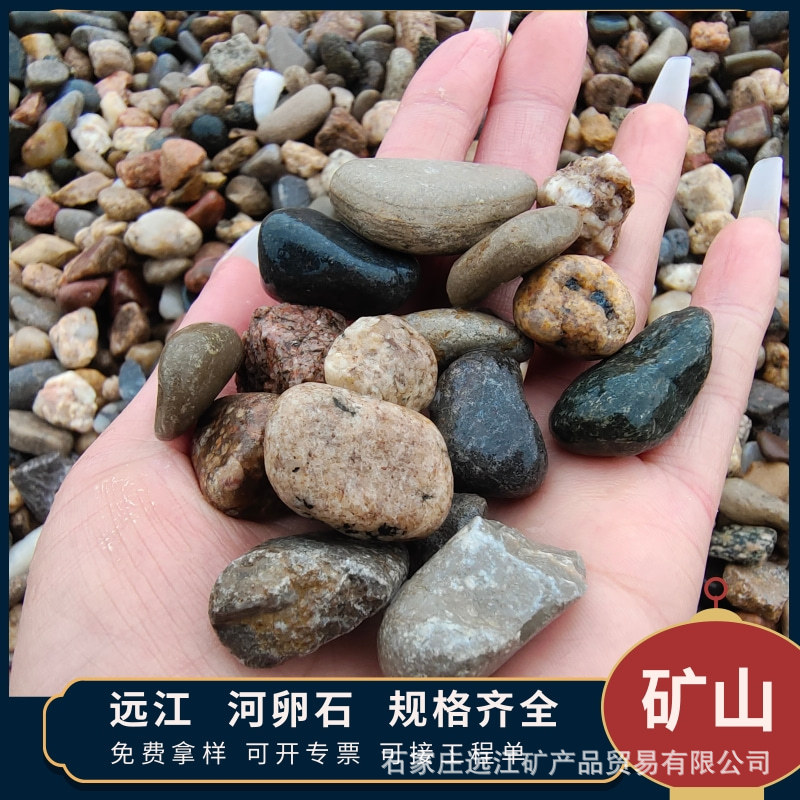 鹅卵石厂家批发变压器滤池5-8厘米河卵石园林景观工程铺路石砾石