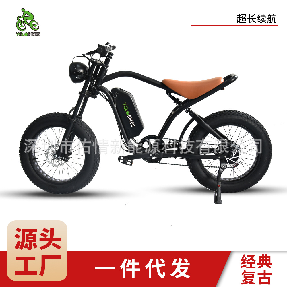 Retro WOMEN LADY 20IN FAT FULL SUSPENSION ELECTRIC BIKE