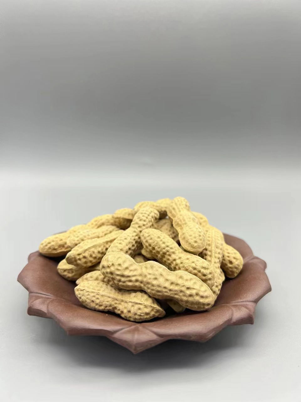 81fec83614cca0f78750a04373a6c0