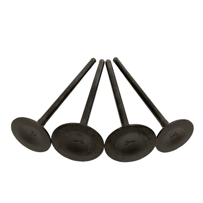 Valves and components Suitable for Italika