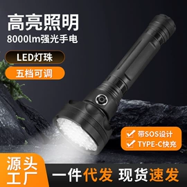 手电筒;手电筒;野营/露营灯