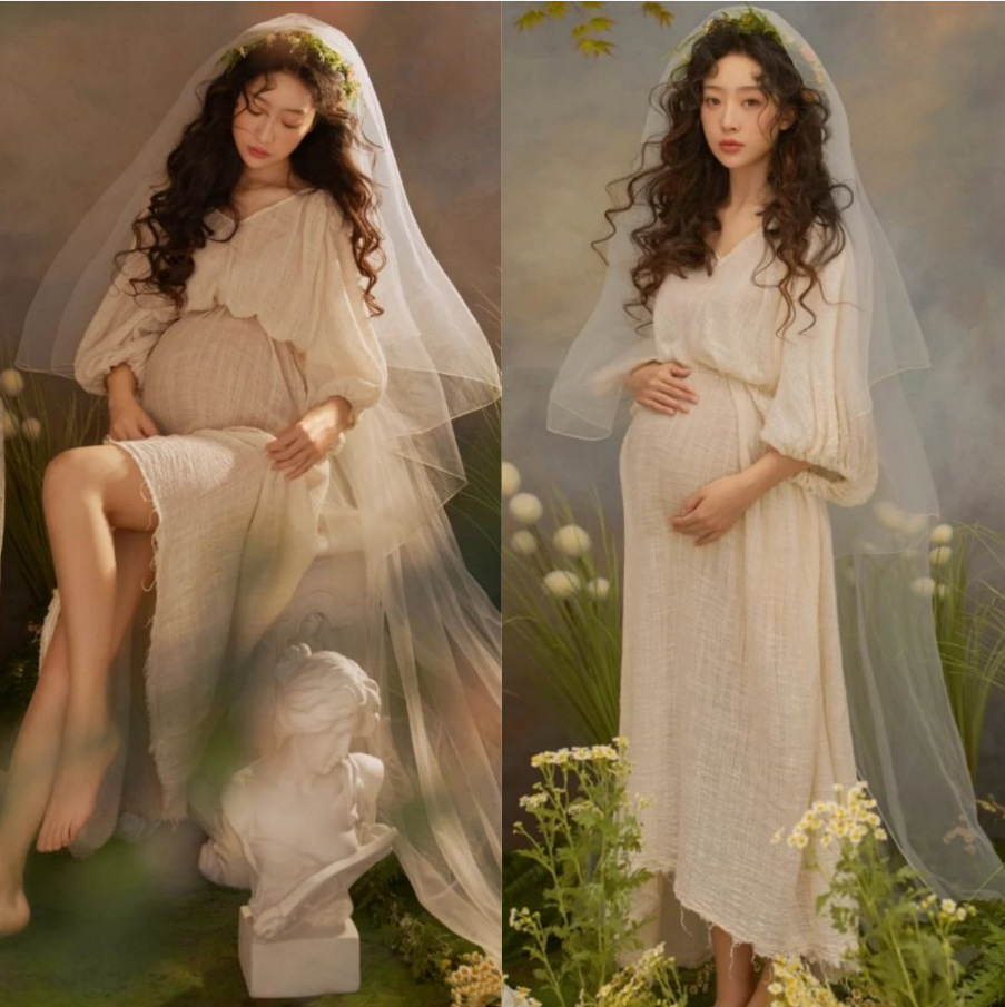 撮影のテーマの妊婦の新しい中国式の写真撮影の服装の妊娠するマミーの大きい腹は水墨画の風格を照らして長いスカートを撮影します。