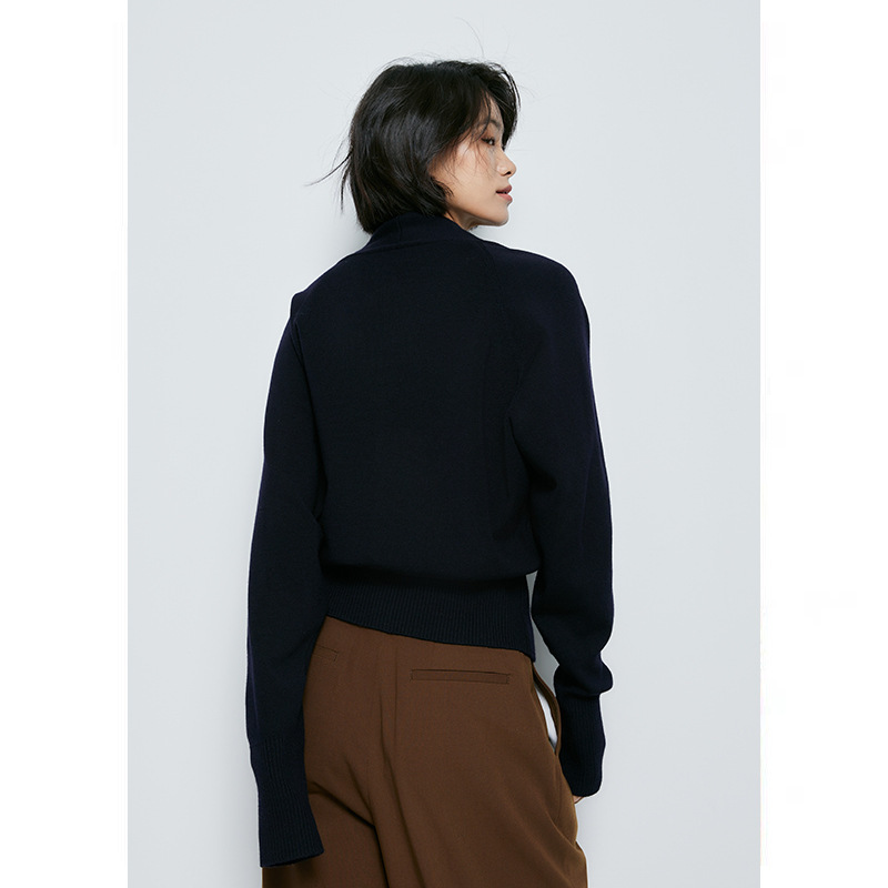 气质V领开衫女2025秋冬季新款高级感法式极简风小个子针织衫|undefined