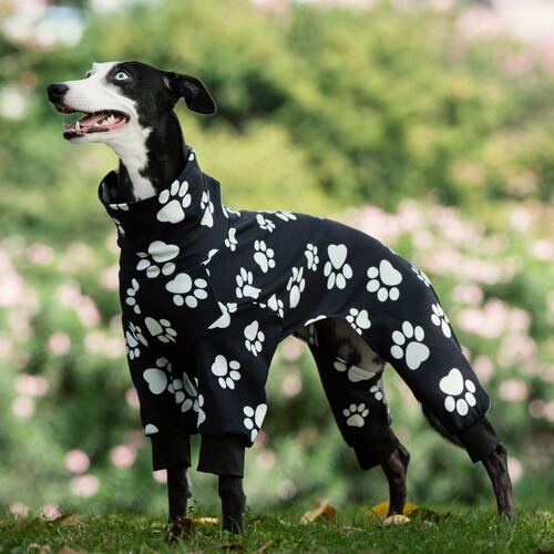 Cross-border Amazon dog pet sunflower print high collar clothing fashionable autumn and winter bare belly four-legged clothes pet clothing