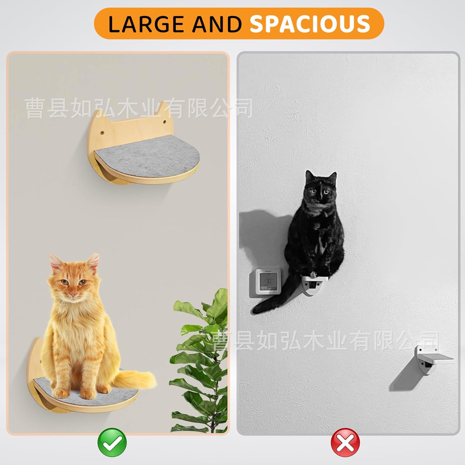 81ChoOZ-KSL._AC_SL1500_