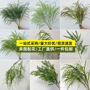 �߷�������J�����L֦��ѿ�ٻ��׾Gɭϵ��c�b�·����Y�ò���