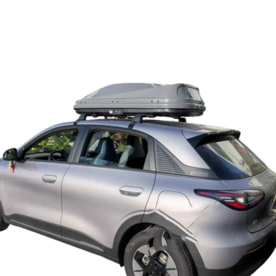 Transport Tool, Roof box