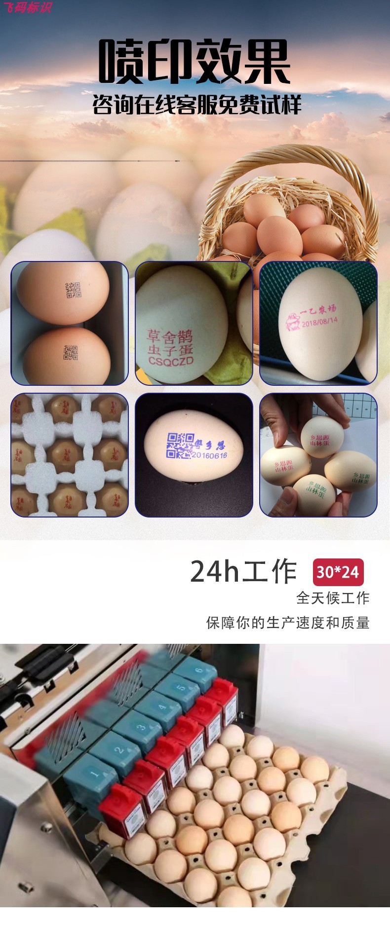 六头鸡蛋详情（3）