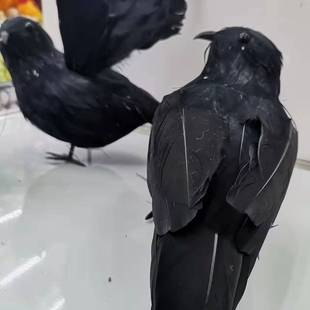 �羳Դ�^��؛�̷�����f/��ɫ��ëС/�f�}����ꠒ�����߼��ֹ�