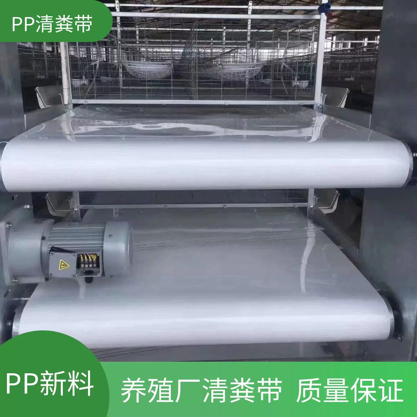 Ремень для очистки навоза в курятнике, ремень для очистки навоза на ферме, ремень для очистки навоза для разведения, полностью автоматический ремень для очистки кур, уток, гусей, перепелов, кроликов
