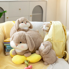 �ɐ۴�С���ë�q�����ż����С̖������耳׿۰���Y�����l