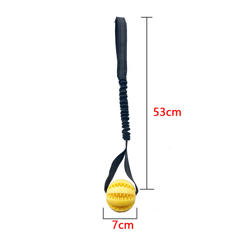 Perro fugas de comida bola puzzle mordida resistente dientes dorados corky para aliviar el aburrimiento juguetes de bolas elásticas al aire libre lanzamiento de entrenamiento image 10