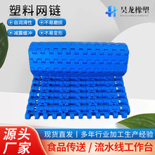 厂家生产塑料网链 食品输送流水线传动塑料网带 杀菌机用塑料链网
