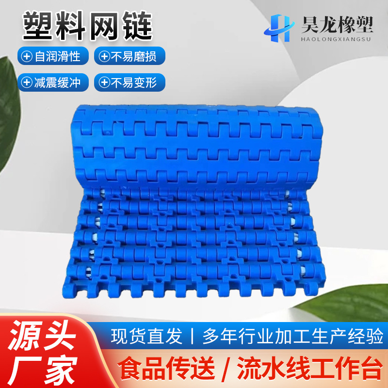 厂家生产塑料网链 食品输送流水线传动塑料网带 杀菌机用塑料链网