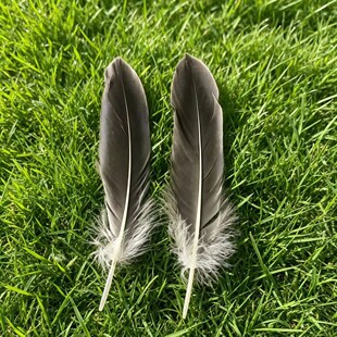 ����ɫ��ëӲ�h15-20cm��ëDIY�ֹ������W��؈����ͨ���b��ˇƷ��