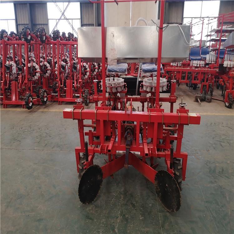 Máquina de trasplante de plántulas de patatas dulces Máquina de trasplante de plántulas de acero inoxidable Vegetales colza plantación de col una mina image 3
