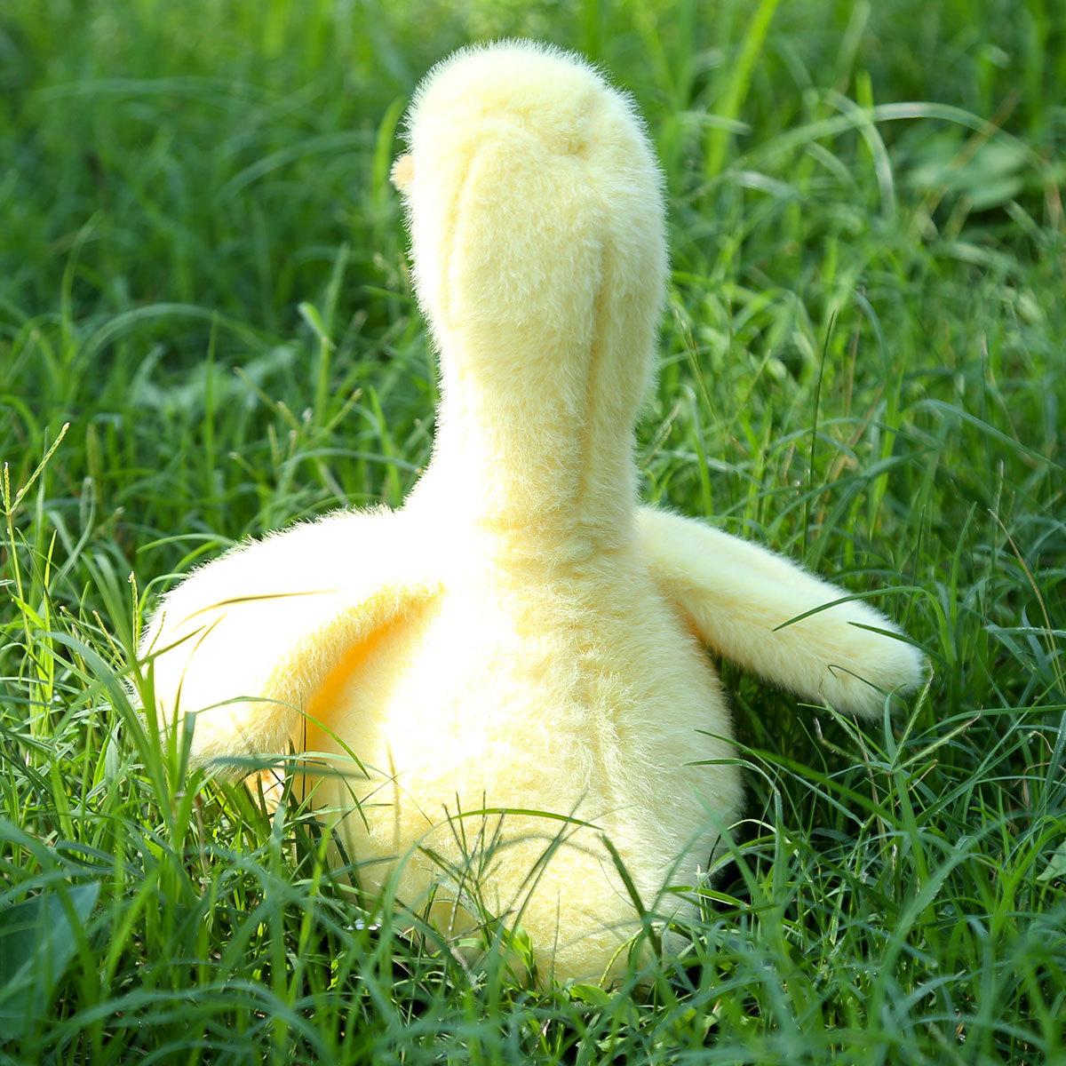 详情-炸毛小黄鸭 (2).jpg