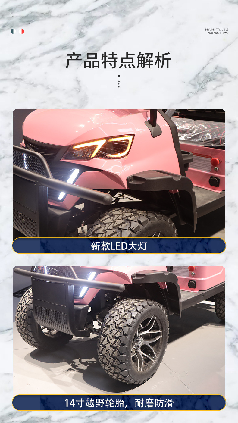 Factory Direct Sales Factory 2-Seater 4-Seater Four-Wheel Golf Cart Tourist Attractions Sightseeing Car Electric Golf Cart