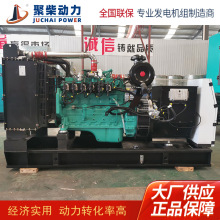 100kw燃气发电机组 农场养殖场备用发电机组 酒店医院小型发电机