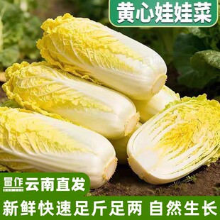 ��ϸ�ԭ¶�����޲����rС�����S�����޲˲��ڻ���߲��r���ԷN