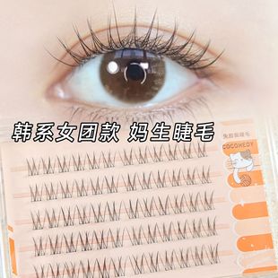 Glue-Free False Eyelashes for Female Groups, Korean Style Segmented Thin Eyelashes for Novices to Apply Single Cluster Grafting 8037 Eyelashes