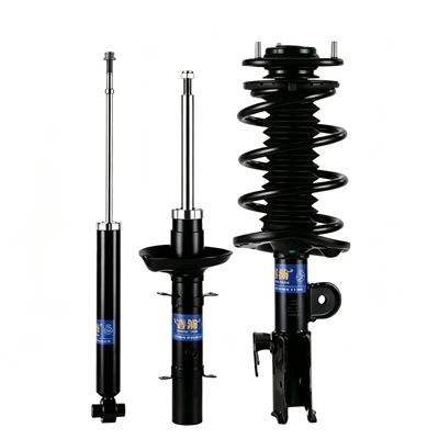 shock absorber assembly, damping system