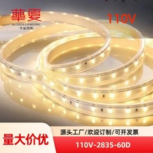 Sֱ60bLEDܛl2835110VLED߉