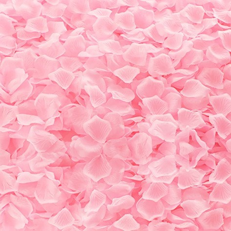 Fuchsia, 100 pieces