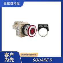 9013FSW29J99 ����Ԫ���� ����ָʾ�ư�ť SQUARE D