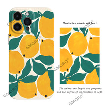 �rƤ����M�����ʾG�~�m���O���֙C��17pro����ȫ��16����15��ˤ