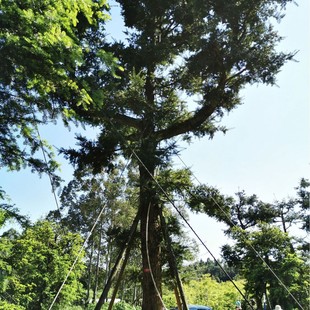 ����䘶������ɼֲ�����Զ��ɻ��صďS�����l�Ƶ�e���G�����^��