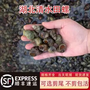 ����S���]���������r�o�������r��ʯ�ݽz��ɼ�β�坍��·������