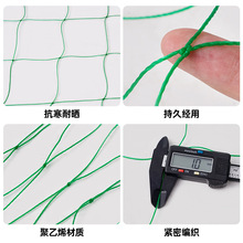 定制植物爬藤网 葡萄黄瓜爬藤搭架花卉藤曼网锁边瓜果蔬菜种植网