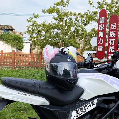 Helmet Decor, Motuoche Auto Parts and Accessories