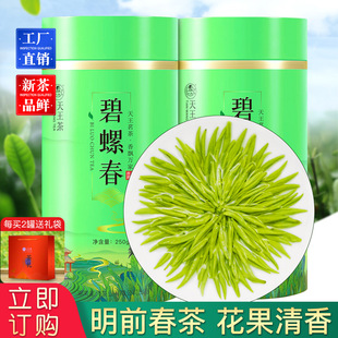 2026�²���ݴ��G���紺��ѿ���ڝ����Ͷ�ͥ���ϲ��~���l�Y�޶YƷ