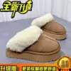 Chestnut, quality, upgraded version
