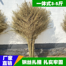 �ߵؒ��� �ɽ���} ��߰�ͥԺ�����R·�h�lâ������ڱ����߰�