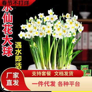 һ�����lˮ�ɻ��N��ˮ��ֲ�ﺬ��ˮ�B�����҃ȾGֲ�������L������