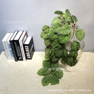 ����ڒ������~�Gɫ�b�ֲ���ٗl�����~���҃ȵ���ֲ��ٻ����