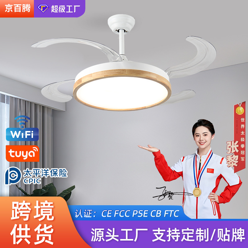 New Invisible Hanging Fan Lamp Household Large Wind Living Room Dining Room Fan Lamp Nordic Log Wind Bedroom Fan Chandelier