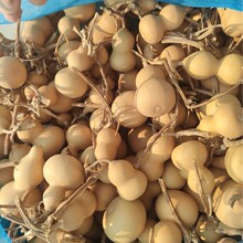 ɽ�|�ĳ�С���J�ؔ�������ǰС����Ƥ�|�¸º�����Ƥ�������^