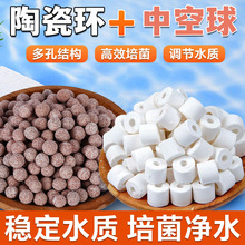 ~^VϲhմɭhVпʯӢ^V