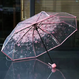 雨伞;晴雨伞;遮阳/太阳伞