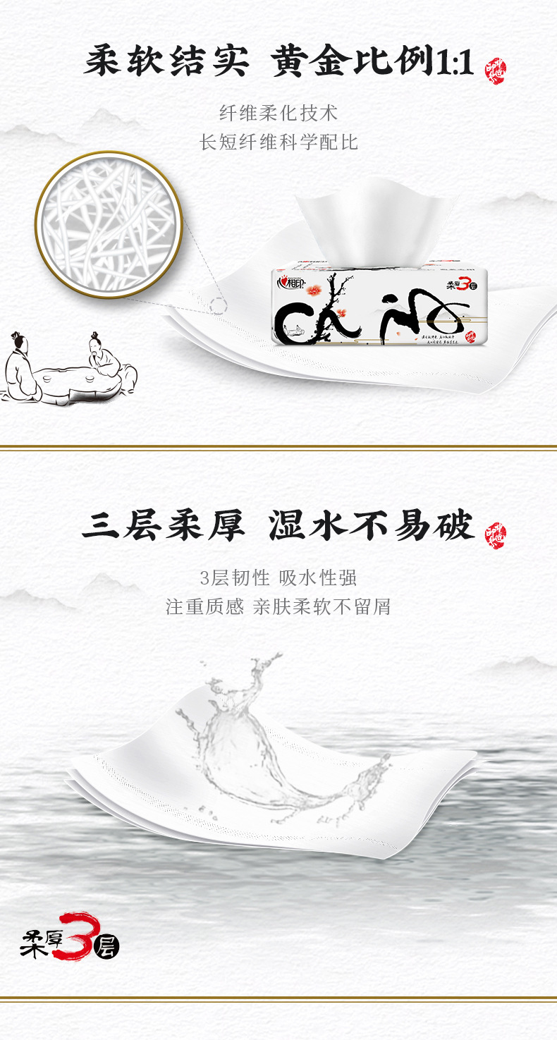 国风DT100-详情 (2).jpg