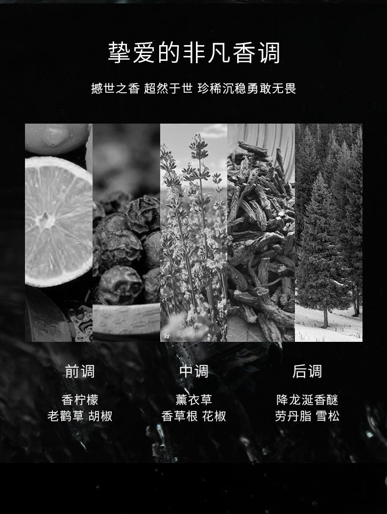 Men's Perfume_04.jpg