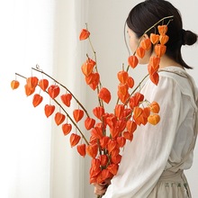 Mڟ\{ɻ͏d[OtlؔȻLɸ߼滨