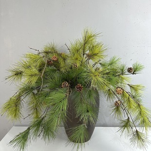 �����Rβ�ɘӰ��g�b���Gֲ��ᘷ����ɘ�֦�}�Q��ʽ������֦