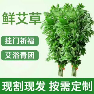 ���繝���r���ݻ����^��YƷ���hdiy���ϰ���������ֹ��T�����w