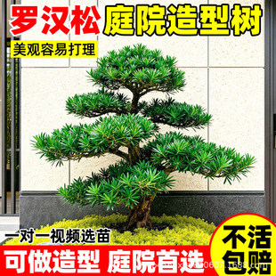 �_�h��ͥԺ���͘�e���辰ӭ���������Ϙ���������������F�G����