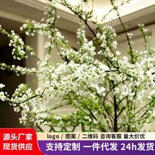 雪柳干枝花卉水培耐寒水养泡水盆栽绿植花卉遇水开花清香插花植物